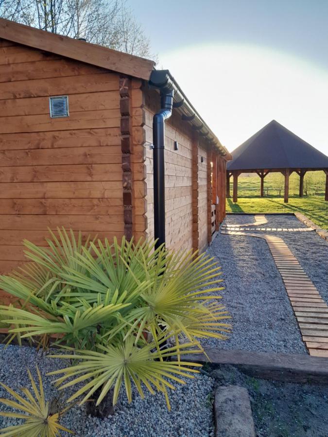 Pensjonat Agroturystyczny Pod Modrzewiem Bed & Breakfast Florczaki ภายนอก รูปภาพ